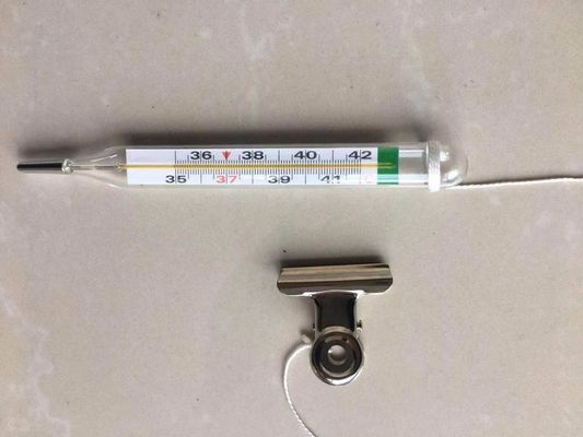 FN-W パーソナライズド クリニカル・水銀フリーデジタル温度計 黄色/青
