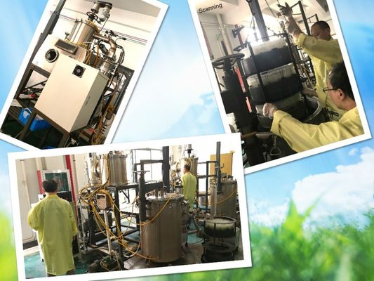 カスタマイズされたサポート 適用のための水銀ガラスチューブ臨床温度計なし